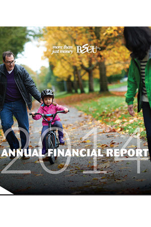Cover of 2014 Annual Report