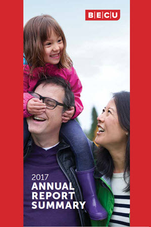 Cover of 2017 Annual Report Summary