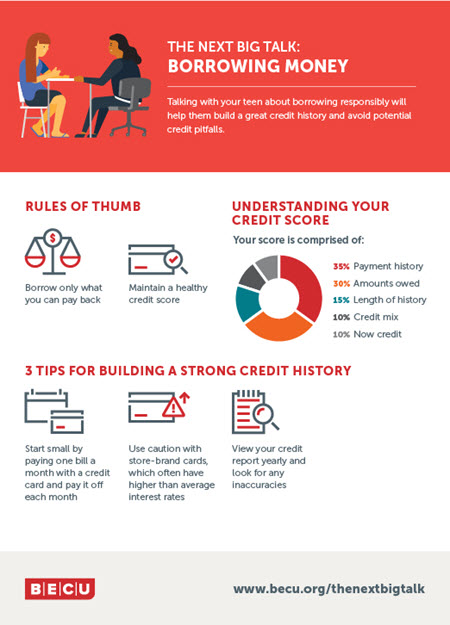 Infographic on Borrowing